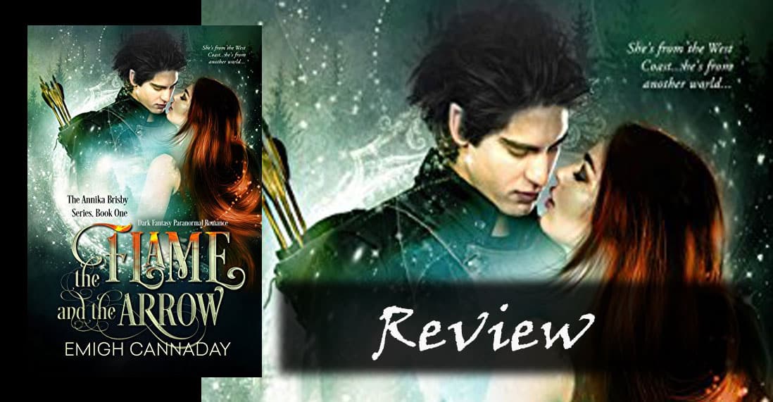 The Flame and the Arrow by Emigh Cannaday: Review and Summary
